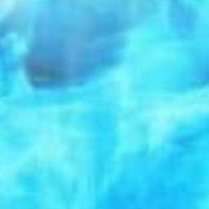 Meet your Posher, Mariah